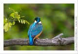getphpbbimage.php?id=116871