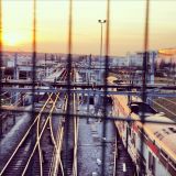 getphpbbimage.php?id=117945