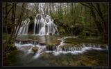 getphpbbimage.php?id=118512