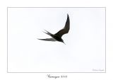 getphpbbimage.php?id=118585