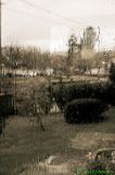 getphpbbimage.php?id=118667