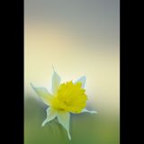 getphpbbimage.php?id=121072