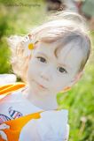 getphpbbimage.php?id=123054