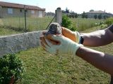 getphpbbimage.php?id=125858