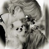 getphpbbimage.php?id=130268