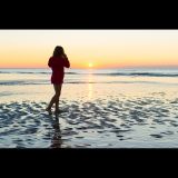 getphpbbimage.php?id=131312