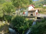 getphpbbimage.php?id=136694