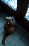 getphpbbimage.php?id=139624