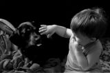 getphpbbimage.php?id=140032