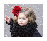 getphpbbimage.php?id=142462