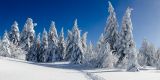 getphpbbimage.php?id=144681