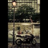 getphpbbimage.php?id=145266
