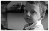 getphpbbimage.php?id=14537