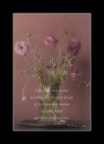 getphpbbimage.php?id=150096