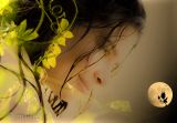 getphpbbimage.php?id=158963