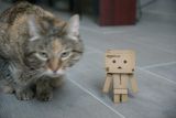 getphpbbimage.php?id=159303