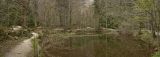 getphpbbimage.php?id=16002