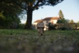 getphpbbimage.php?id=161888