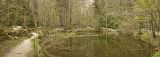 getphpbbimage.php?id=16509