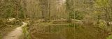 getphpbbimage.php?id=16652