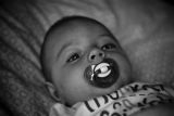getphpbbimage.php?id=16767
