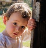 getphpbbimage.php?id=170334