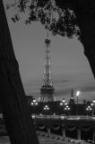 getphpbbimage.php?id=181518
