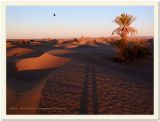 getphpbbimage.php?id=190478