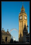 getphpbbimage.php?id=192453
