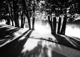 getphpbbimage.php?id=196859