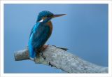 getphpbbimage.php?id=200092