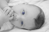 getphpbbimage.php?id=206212