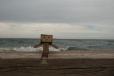 getphpbbimage.php?id=209034