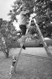 getphpbbimage.php?id=214028