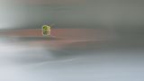 getphpbbimage.php?id=220142