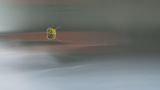 getphpbbimage.php?id=220143