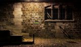 getphpbbimage.php?id=220155