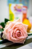 getphpbbimage.php?id=221778