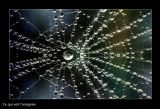 getphpbbimage.php?id=224096