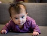 getphpbbimage.php?id=231766