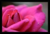getphpbbimage.php?id=23192
