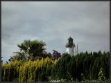 getphpbbimage.php?id=23736