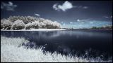 getphpbbimage.php?id=241940