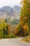 getphpbbimage.php?id=250919