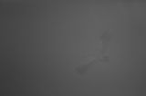 getphpbbimage.php?id=257149