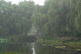 getphpbbimage.php?id=27732
