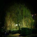 getphpbbimage.php?id=279976