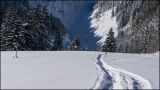 getphpbbimage.php?id=288342