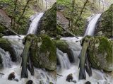 getphpbbimage.php?id=292044