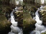 getphpbbimage.php?id=292045